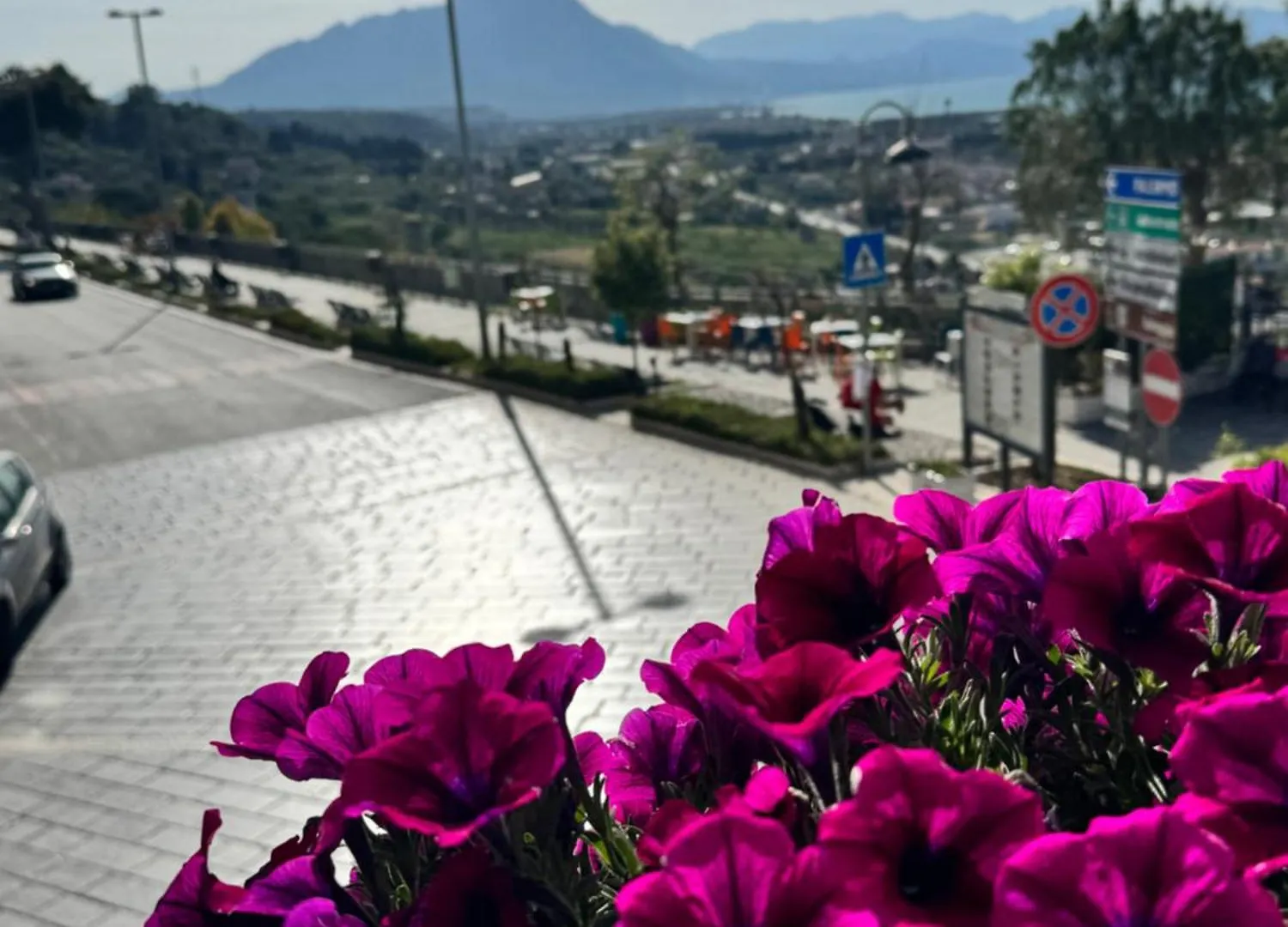 Rinella'S Casa Vacanze Campofelice Di Roccella